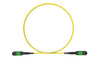 MPO female to MPO female fiber optic patch cord cable, 12 strands, Elite Low IL, SMF, 2m length, B polarity