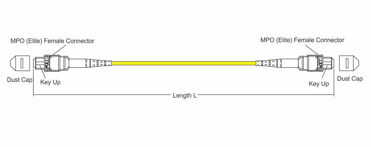 MPO female to MPO female fiber optic patch cord cable, 12 strands, Elite Low IL, SMF, 5m length, B polarity