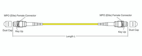 MPO female to MPO female fiber optic patch cord cable, 12 strands, Elite Low IL, SMF, 10m length, B polarity