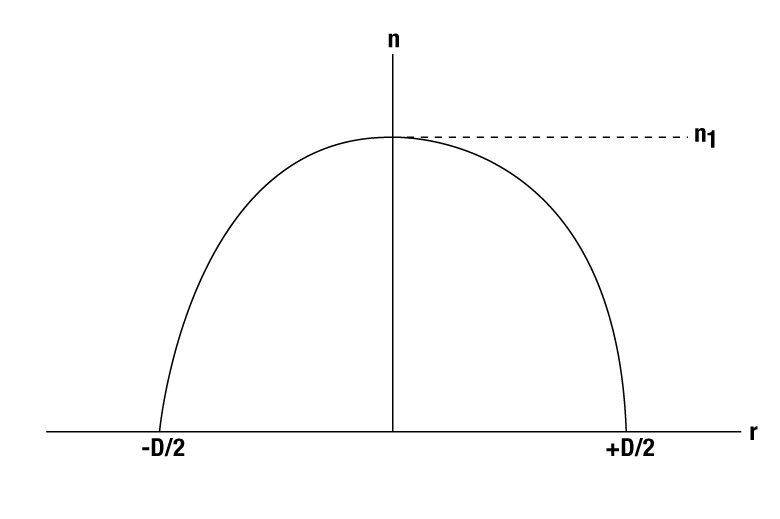 T-G1P11 - GRIN Lens for Imaging, Ø1.0 mm, L = 8.091 mm, WD = 0.20 mm (Water and Dry), NA = 0.5, Uncoated