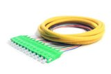 12 Fiber SC/APC Distribution Style Pigtail,SM, Green Boots