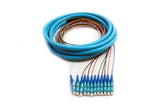 Distribution Pigtail 12 Fiber Multimode (50um OM3) LC/UPC Aqua Boots 3 Meters