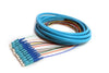 Distribution Pigtail 12 Fiber Multimode (50um OM3) SC/UPC Aqua Boots 3 Meters
