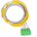 Distribution Pigtail 6 Fiber Singlemode SC/APC Green Boots 3 Meters
