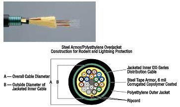 6 Strands 9/125µm Single Mode Tight Buffered Armored Cable