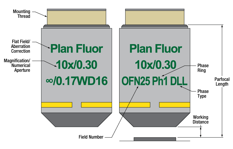 TH-N20X-PH - 20X Nikon Phase Contrast Objective, Dark Low Low, 0.50 NA, 2.1 mm WD