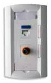 Synergy Series 2 Port Wallplate, Mfr Molex