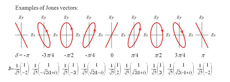 Jones Vector Representation of Polarization States
