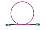 MPO female to MPO female fiber optic patch cord cable, 12 strands, Elite Low IL, OM4, 10m length, B polarity