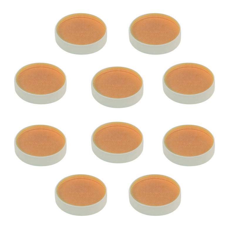 T-BB1-E04-10 - Ø1" Broadband Dielectric Mirror, 1280 - 1600 nm, 10 Pack
