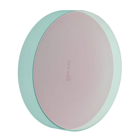 T-BB4-E03 - Ø4" Broadband Dielectric Mirror, 750 - 1100 nm