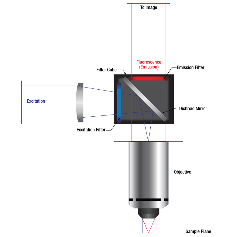 T-TLV-U-FF-BFP - Microscopy Cube with Pre-Installed BFP Filter Set for Olympus BX3, IX3