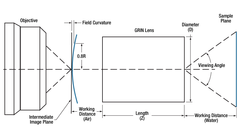T-G1P11 - GRIN Lens for Imaging, Ø1.0 mm, L = 8.091 mm, WD = 0.20 mm (Water and Dry), NA = 0.5, Uncoated