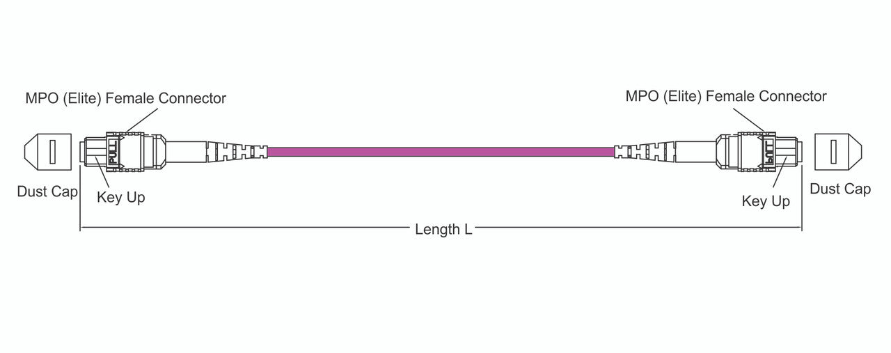 MPO female to MPO female fiber optic patch cord cable, 12 strands, Elite Low IL, OM4, 5m length, B polarity
