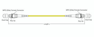 MPO female to MPO female fiber optic patch cord cable, 12 strands, Elite Low IL, SMF, 10m length, B polarity, per 10 meters