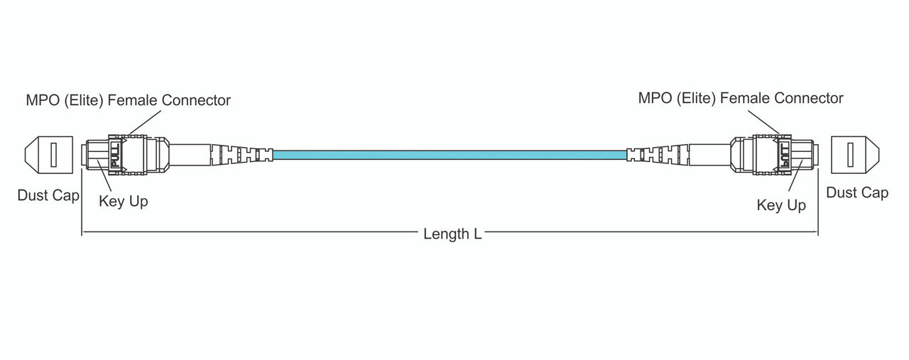 MPO female to MPO female fiber optic patch cord cable, 12 strands, Elite Low IL, OM3, 5m length, B polarity