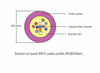 MPO female to MPO female fiber optic patch cord cable, 12 strands, Elite Low IL, OM4, 2m length, B polarity
