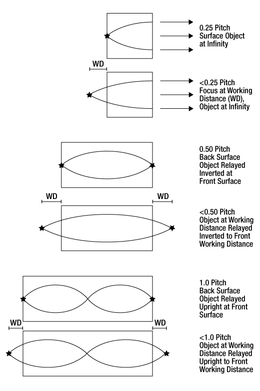 T-G1P10 - GRIN Lens for Imaging, Ø1.0 mm, L = 3.758 mm, WD = 0.20 mm (Water and Dry), NA = 0.5, Uncoated