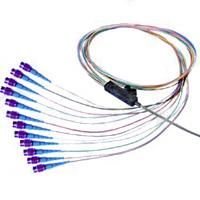 Ribbon Fiber Optic Patch Cable, MTP/Male-SC/UPC SM, 12 Fiber Ribbon, 1 Meter