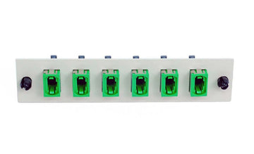 MTP 6 Pack SM Green Adapter-Off White