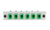 MTP 6 Pack SM Green Adapter-Off White
