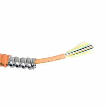 TLC Distribution Fiber Optic Cable with Aluminum Interlocking Armor, 12 Fiber, Multimode, 62.5/125um, OM1, Plenum, Orange (per meter)