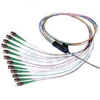 Ribbon Fanout Pigtail, 12 Fiber, Singlemode, FC/APC, 3 Meters