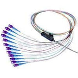 Ribbon Fanout Pigtail, 12 Fiber, Singlemode, FC/UPC, 3 Meters