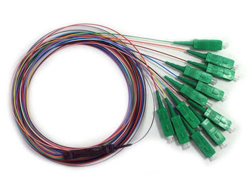 Ribbon Fanout Pigtail, 12 Fiber, Singlemode, SC/APC, 3 Meters