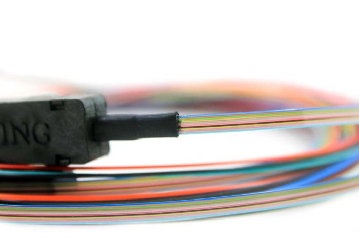 Ribbon Fanout Pigtail, 12 Fiber, Singlemode, SC/APC, 3 Meters