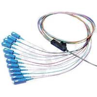 Ribbon Fanout Pigtail, 12 Fiber, Singlemode, SC/UPC, 3 Meters