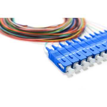 12 Fiber Singlemode 900um SC/UPC Pigtail Pack, 3 Meters