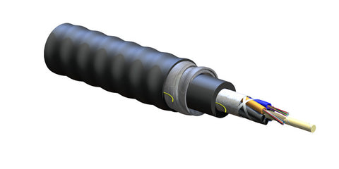 FREEDM Loose Tube, Gel-Free, Interlocking Armored Cable, Riser, 12 F, Single-mode (OS2)