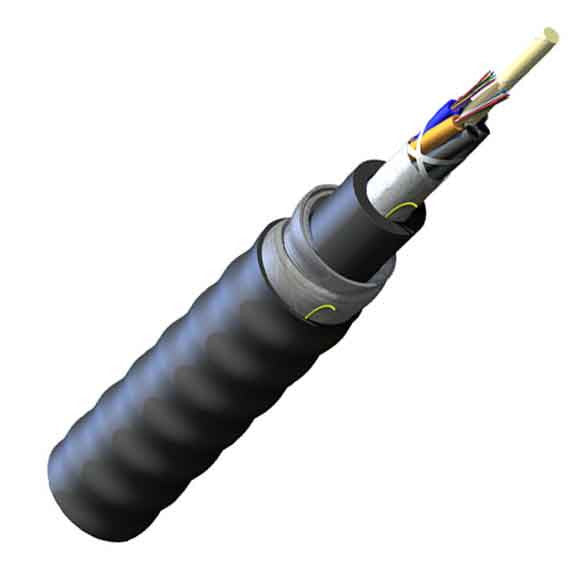 Armoured Riser Cable FREEDM Loose Tube, Gel-Free, Interlocking Armored Cable, Riser, 24 F,
