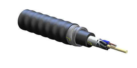 FREEDM Loose Tube, Gel-Free, Interlocking Armored Cable, Riser, 24 F, 50 µm multimode (OM2)