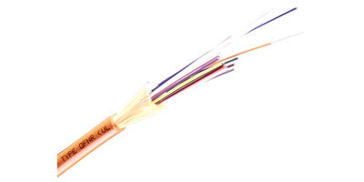 24-F Hybrid TB Riser MIC 12-F 62.5/125µm + 12-F 8.3/125µm