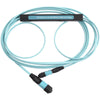 OM3 Encircled Flux Reference Cord
