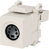 S-Video QuickPort Snap-in Bulkhead Connector, MFR Leviton