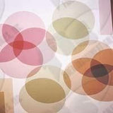 Seikoh Giken 5um Polishing Film Rough Diamond