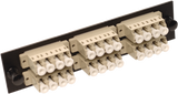 LC Quad 6 Pack (Singlemode) Blue Adapters 24 Fibers, Beige Color