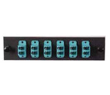 LC Duplex 6-Pack Plate Black Loaded W/10G Black adapters