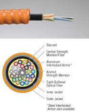 6 Strands 62.5/125µm Multimode Aluminum Interlocked Armored Cable - Indoor/Outdoor OFCR Riser Rated