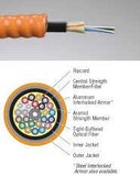 12 Strands 62.5/125µm Multimode Aluminum Interlocked Armored Cable - Indoor/Outdoor OFCR Riser Rated