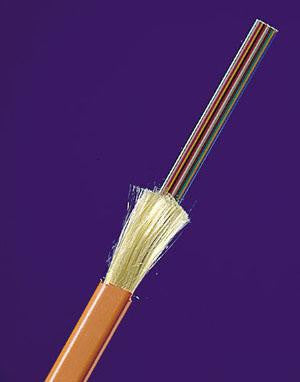 62.5/125µm Multimode Jacketed Fiber Ribbon - 8 fibers
