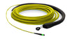 12 fiber, 9µm OS1 Single Mode, (1x) MTP/male - (1x) MTP/male, Plenum - MTP Backbone Trunk Cable