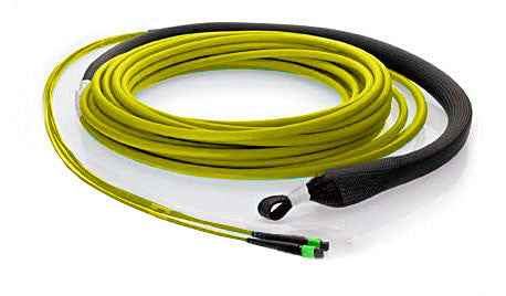 24 fiber, 9µm OS1 Single Mode, (2x) MTP/male - (2x) MTP/male, Plenum - MTP Backbone Trunk Cable