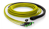 72 fiber, 9µm OS1 Single Mode, (6x) MTP/male - (6x) MTP/male, Plenum - MTP Backbone Trunk Cable