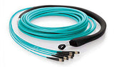 72 fiber, 50µm OM3 10Gig Fiber, (6x) MTP/male - (6x) MTP/male, Plenum - MTP Backbone Trunk Cable