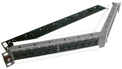 Datagate Plus Cat 5e 24 port angled 1U w/cable management