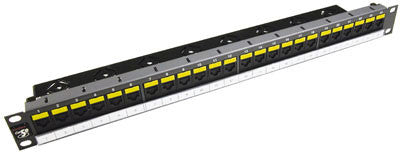 Datagate Plus Cat 5e 24 port 1U w/cable management